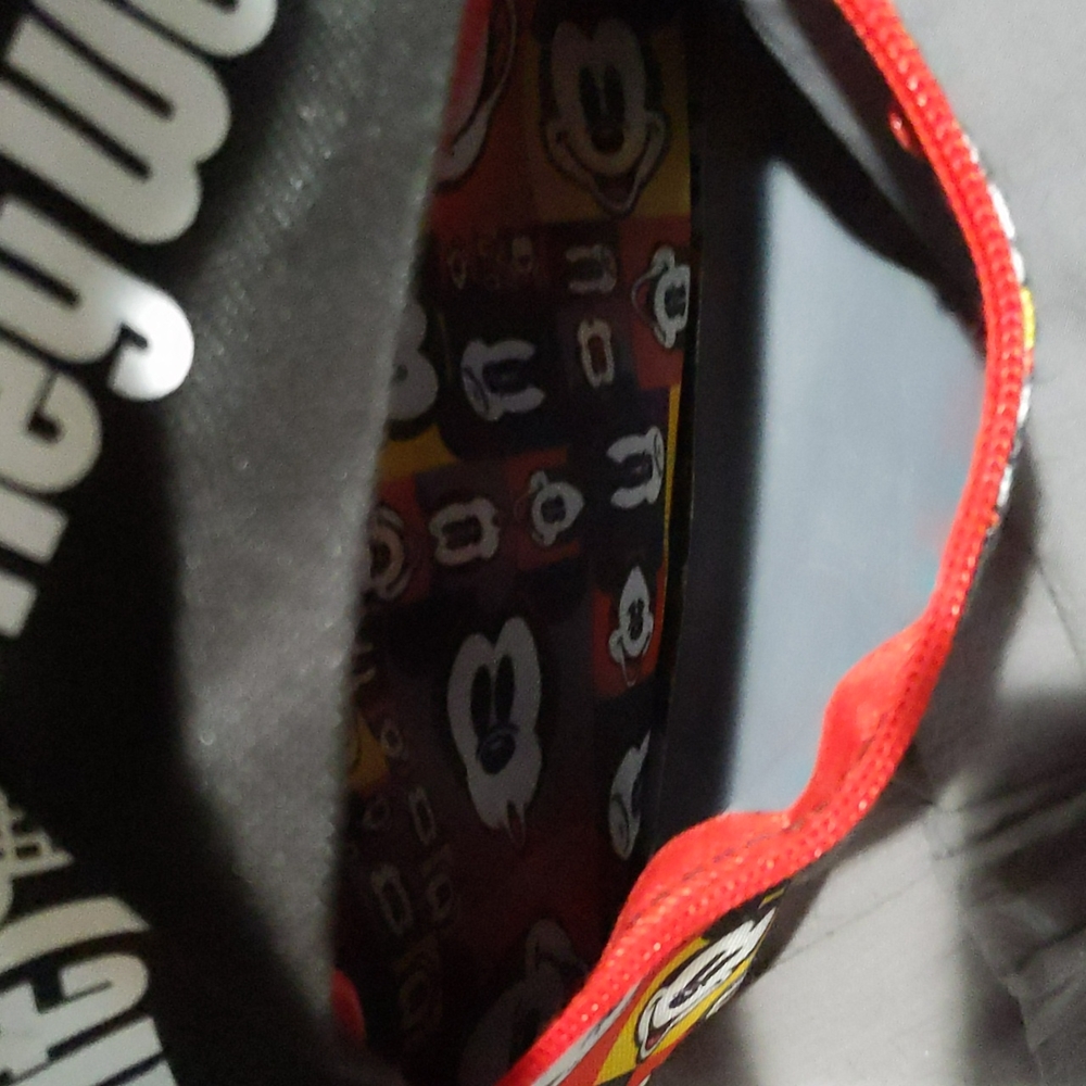 Disney World Backpack - image 4